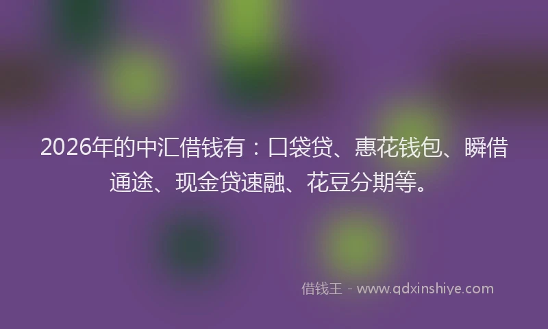 2026年的中汇借钱有:口袋贷、惠花钱包、瞬借通途、现金贷速融、花豆分期等。