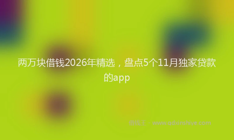 两万块借钱2026年精选，盘点5个11月独家贷款的app
