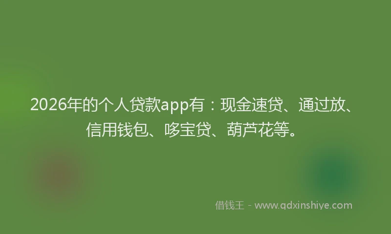 2026年的个人贷款app有：现金速贷、通过放、信用钱包、哆宝贷、葫芦花等。