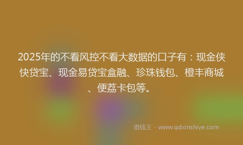 2025年的不看风控不看大数据的口子有：现金侠快贷宝、现金易贷宝盒融、珍珠钱包、橙丰商城、便荔卡包等。