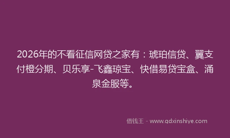 2026年的不看征信网贷之家有:琥珀信贷、翼支付橙分期、贝乐享-飞鑫琼宝、快借易贷宝盒、涌泉金服等。