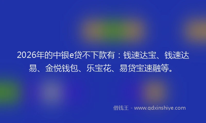 2026年的中银e贷不下款有:钱速达宝、钱速达易、金悦钱包、乐宝花、易贷宝速融等。