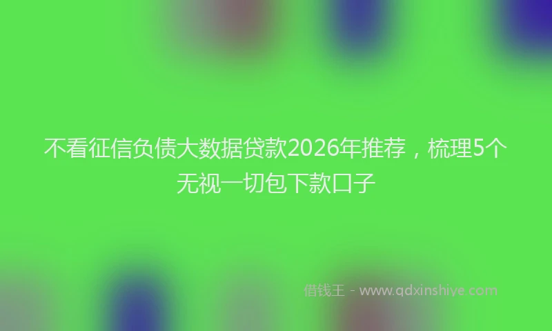 不看征信负债大数据贷款2026年推荐，梳理5个无视一切包下款口子