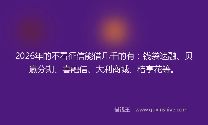 2026年的不看征信能借几千的有：钱袋速融、贝赢分期、喜融信、大利商城、桔享花等。