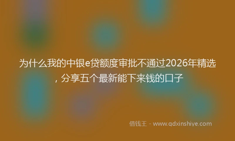 为什么我的中银e贷额度审批不通过2026年精选，分享五个最新能下来钱的口子