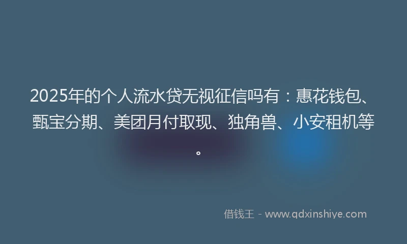 2025年的个人流水贷无视征信吗有：惠花钱包、甄宝分期、美团月付取现、独角兽、小安租机等。