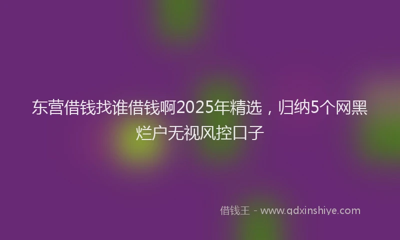 东营借钱找谁借钱啊2025年精选，归纳5个网黑烂户无视风控口子