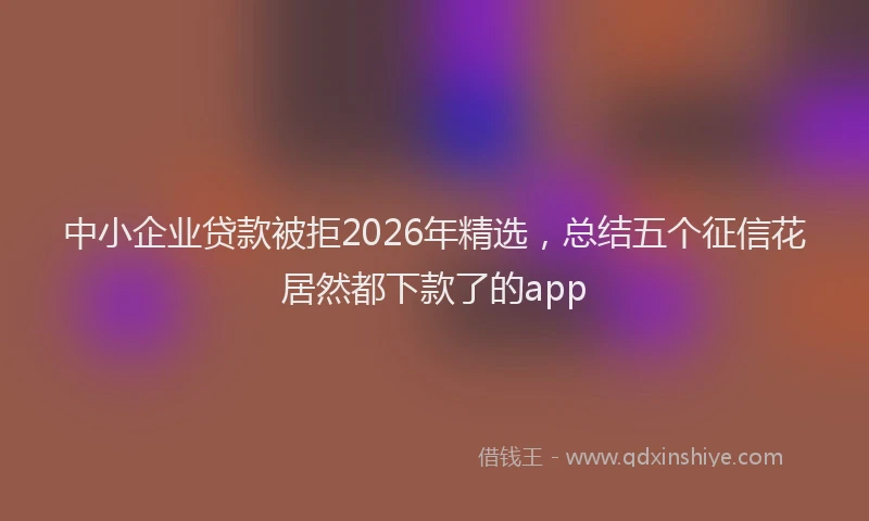 中小企业贷款被拒2026年精选，总结五个征信花居然都下款了的app