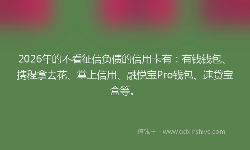 2026年的不看征信负债的信用卡有：有钱钱包、携程拿去花、掌上信用、融悦宝Pro钱包、速贷宝盒等。