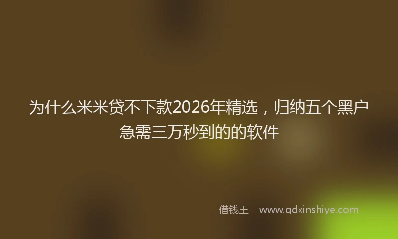 为什么米米贷不下款2026年精选，归纳五个黑户急需三万秒到的的软件