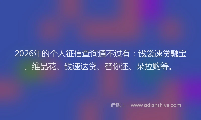 2026年的个人征信查询通不过有：钱袋速贷融宝、维品花、钱速达贷、替你还、朵拉购等。
