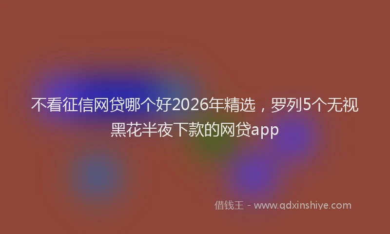 不看征信网贷哪个好2026年精选，罗列5个无视黑花半夜下款的网贷app