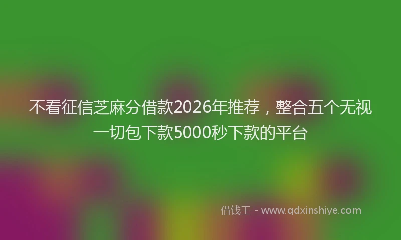 不看征信芝麻分借款2026年推荐，整合五个无视一切包下款5000秒下款的平台