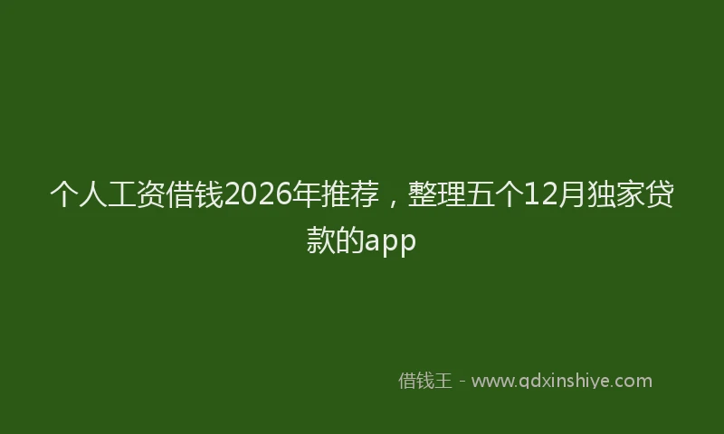 个人工资借钱2026年推荐，整理五个12月独家贷款的app