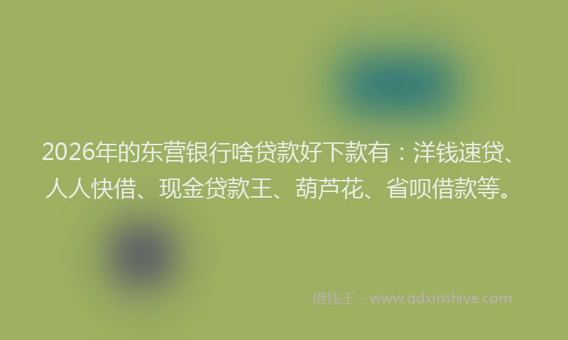 2026年的东营银行啥贷款好下款有：洋钱速贷、人人快借、现金贷款王、葫芦花、省呗借款等。