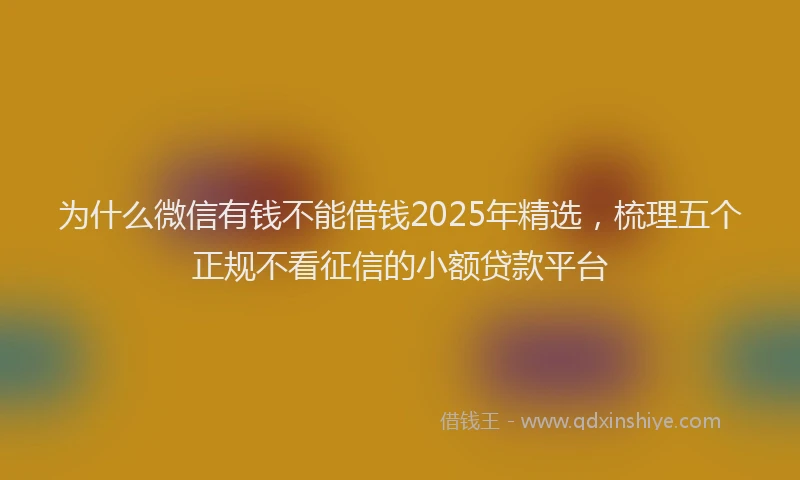为什么微信有钱不能借钱2025年精选，梳理五个正规不看征信的小额贷款平台