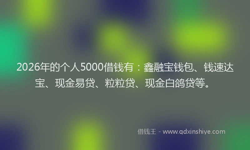 2026年的个人5000借钱有:鑫融宝钱包、钱速达宝、现金易贷、粒粒贷、现金白鸽贷等。