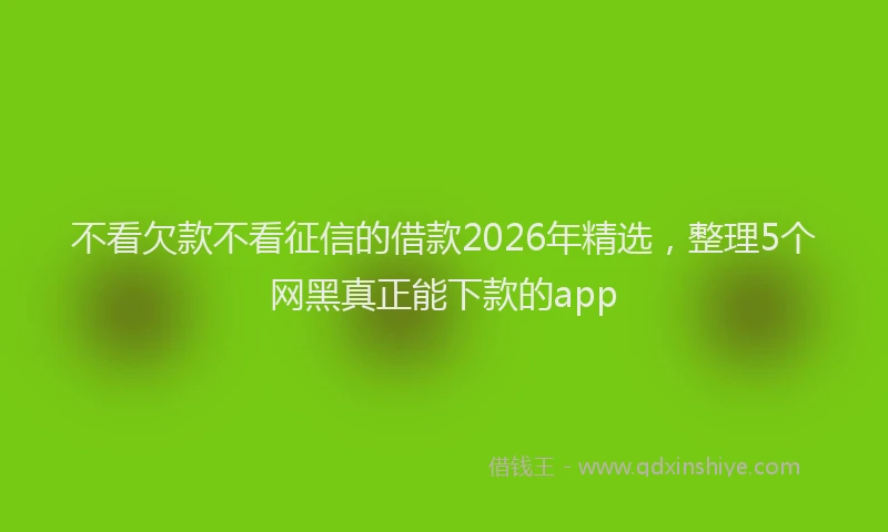 不看欠款不看征信的借款2026年精选,整理5个网黑真正能下款的app