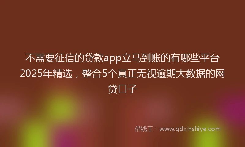 不需要征信的贷款app立马到账的有哪些平台2025年精选,整合5个真正无视逾期大数据的网贷口子