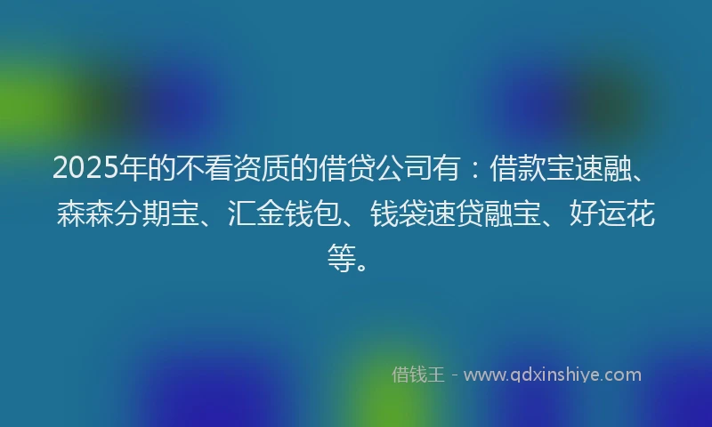 2025年的不看资质的借贷公司有：借款宝速融、森森分期宝、汇金钱包、钱袋速贷融宝、好运花等。