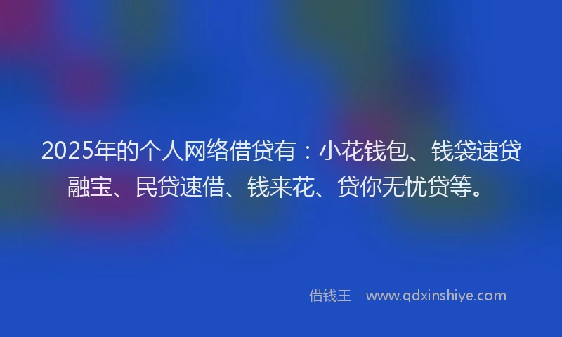 2025年的个人网络借贷有:小花钱包、钱袋速贷融宝、民贷速借、钱来花、贷你无忧贷等。