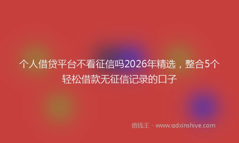 个人借贷平台不看征信吗2026年精选，整合5个轻松借款无征信记录的口子
