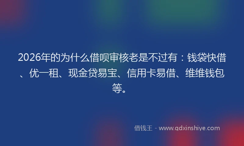2026年的为什么借呗审核老是不过有：钱袋快借、优一租、现金贷易宝、信用卡易借、维维钱包等。