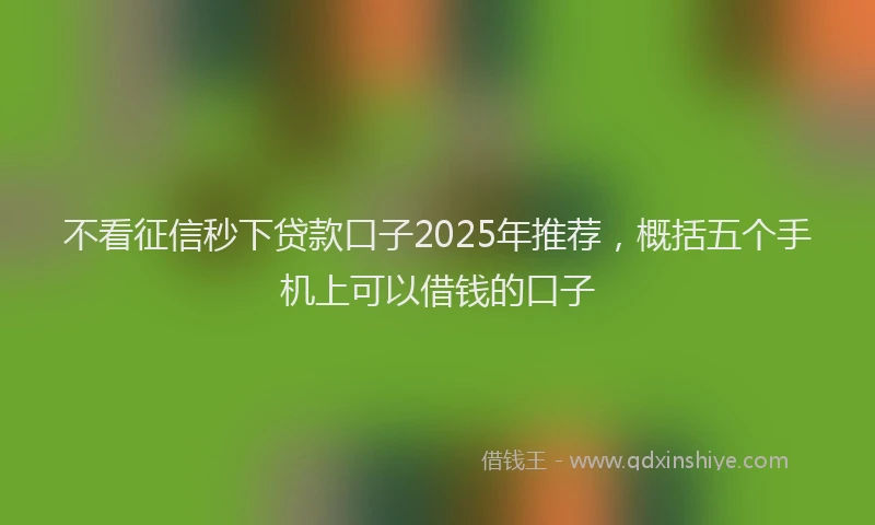 不看征信秒下贷款口子2025年推荐，概括五个手机上可以借钱的口子