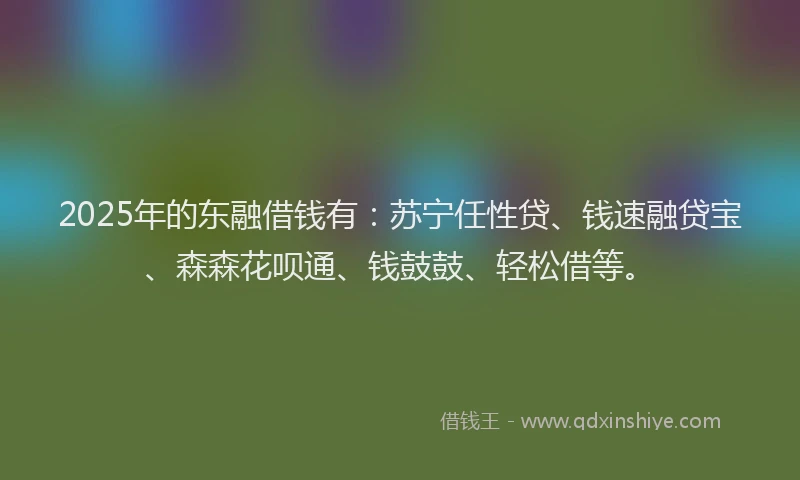 2025年的东融借钱有:苏宁任性贷、钱速融贷宝、森森花呗通、钱鼓鼓、轻松借等。