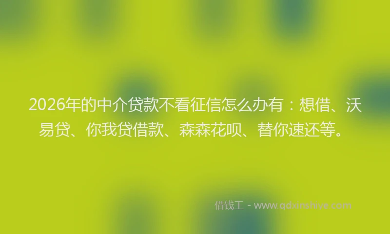 2026年的中介贷款不看征信怎么办有：想借、沃易贷、你我贷借款、森森花呗、替你速还等。