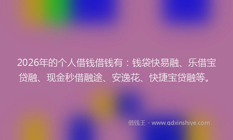 2026年的个人借钱借钱有：钱袋快易融、乐借宝贷融、现金秒借融途、安逸花、快捷宝贷融等。