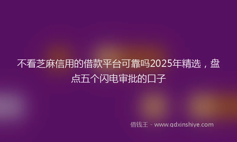 不看芝麻信用的借款平台可靠吗2025年精选，盘点五个闪电审批的口子