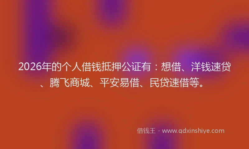 2026年的个人借钱抵押公证有:想借、洋钱速贷、腾飞商城、平安易借、民贷速借等。