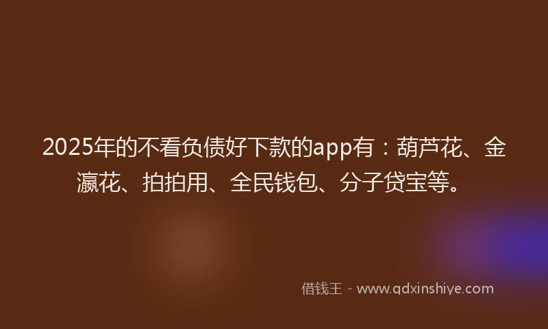 2025年的不看负债好下款的app有：葫芦花、金瀛花、拍拍用、全民钱包、分子贷宝等。