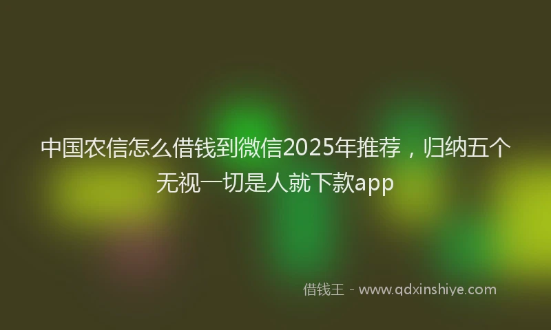 中国农信怎么借钱到微信2025年推荐,归纳五个无视一切是人就下款app