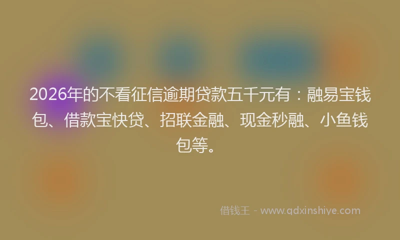 2026年的不看征信逾期贷款五千元有：融易宝钱包、借款宝快贷、招联金融、现金秒融、小鱼钱包等。
