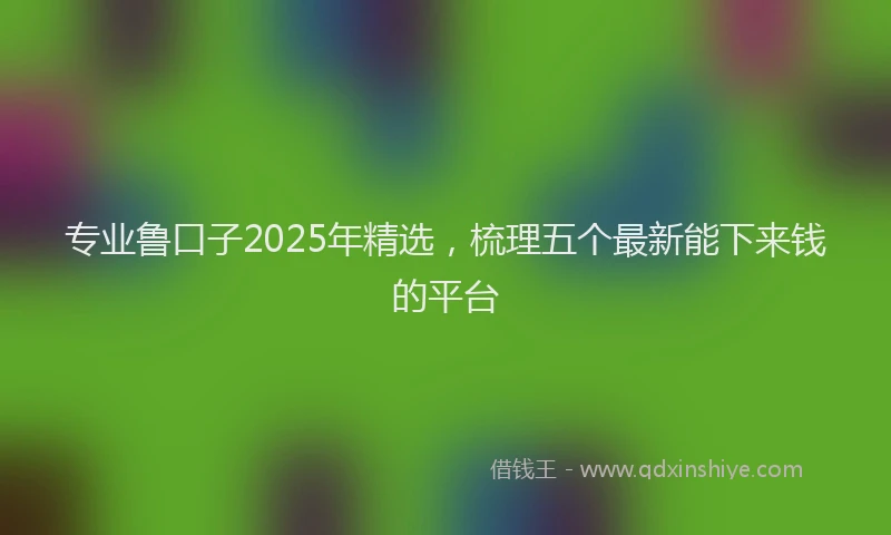 专业鲁口子2025年精选，梳理五个最新能下来钱的平台