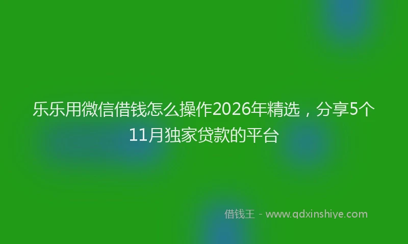 乐乐用微信借钱怎么操作2026年精选，分享5个11月独家贷款的平台