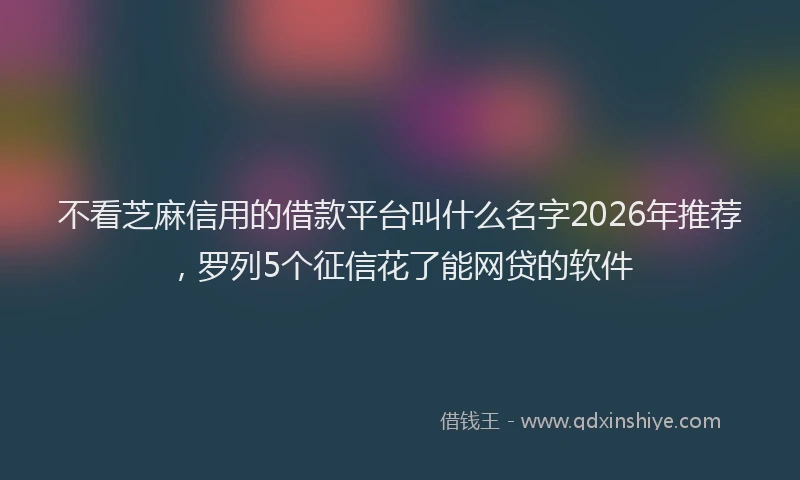 不看芝麻信用的借款平台叫什么名字2026年推荐，罗列5个征信花了能网贷的软件
