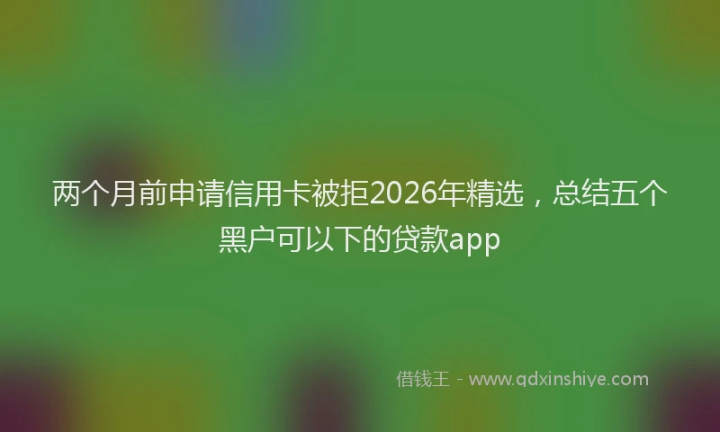 两个月前申请信用卡被拒2026年精选，总结五个黑户可以下的贷款app
