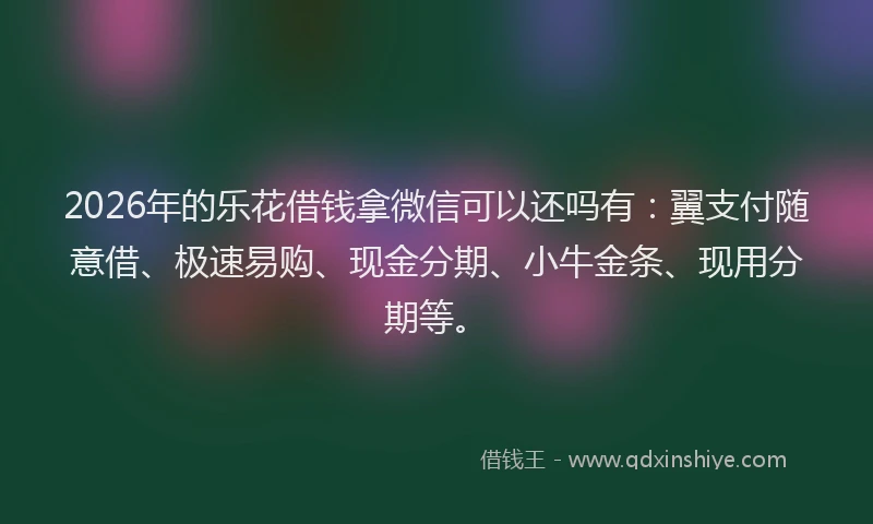 2026年的乐花借钱拿微信可以还吗有：翼支付随意借、极速易购、现金分期、小牛金条、现用分期等。