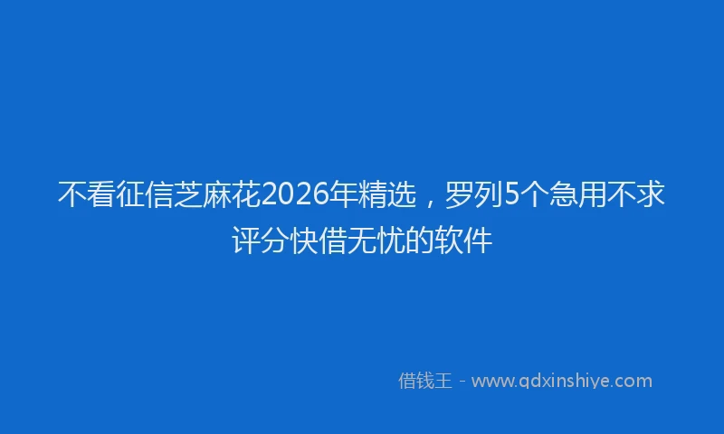 不看征信芝麻花2026年精选，罗列5个急用不求评分快借无忧的软件