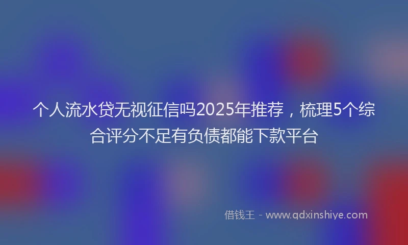 个人流水贷无视征信吗2025年推荐,梳理5个综合评分不足有负债都能下款平台