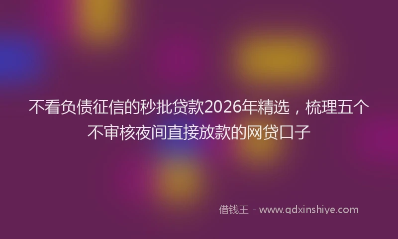 不看负债征信的秒批贷款2026年精选，梳理五个不审核夜间直接放款的网贷口子