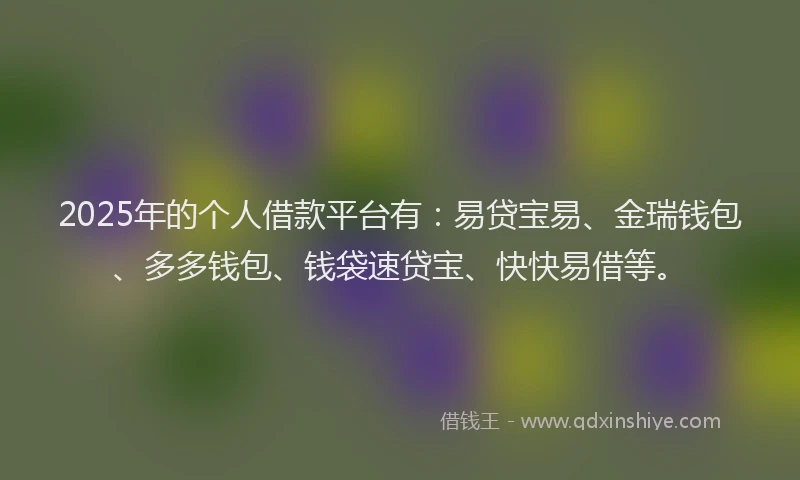 2025年的个人借款平台有:易贷宝易、金瑞钱包、多多钱包、钱袋速贷宝、快快易借等。
