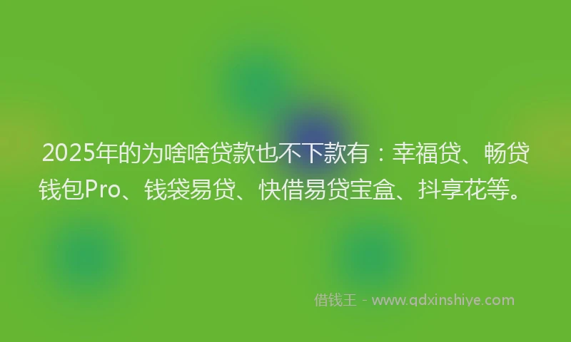 2025年的为啥啥贷款也不下款有：幸福贷、畅贷钱包Pro、钱袋易贷、快借易贷宝盒、抖享花等。