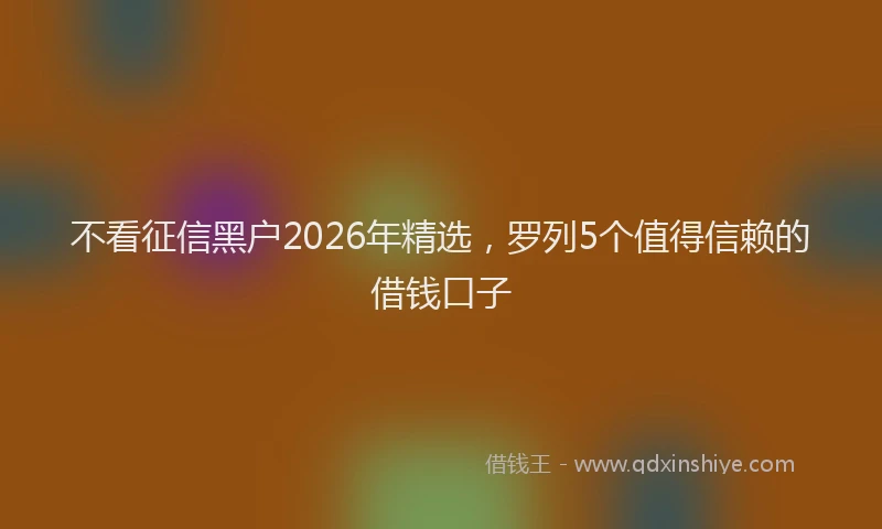 不看征信黑户2026年精选，罗列5个值得信赖的借钱口子