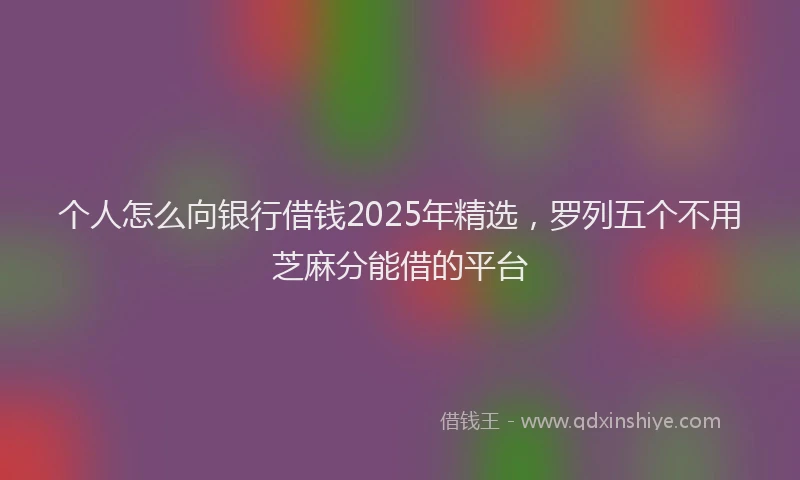 个人怎么向银行借钱2025年精选，罗列五个不用芝麻分能借的平台