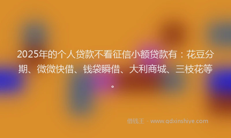 2025年的个人贷款不看征信小额贷款有：花豆分期、微微快借、钱袋瞬借、大利商城、三枝花等。