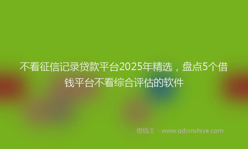 不看征信记录贷款平台2025年精选，盘点5个借钱平台不看综合评估的软件